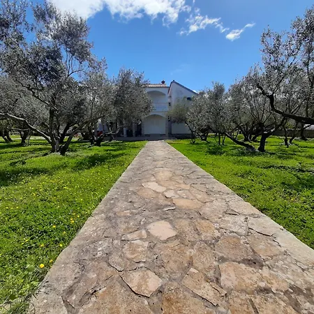 Family House Rebeka Lägenhet Ugljan